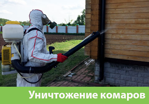Уничтожение комаров в городе Сибай